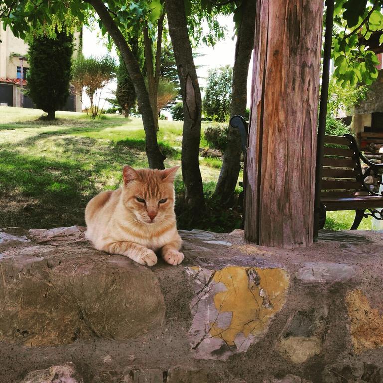 Agriturismo San Nicolo Montecastelli Pisano Экстерьер фото