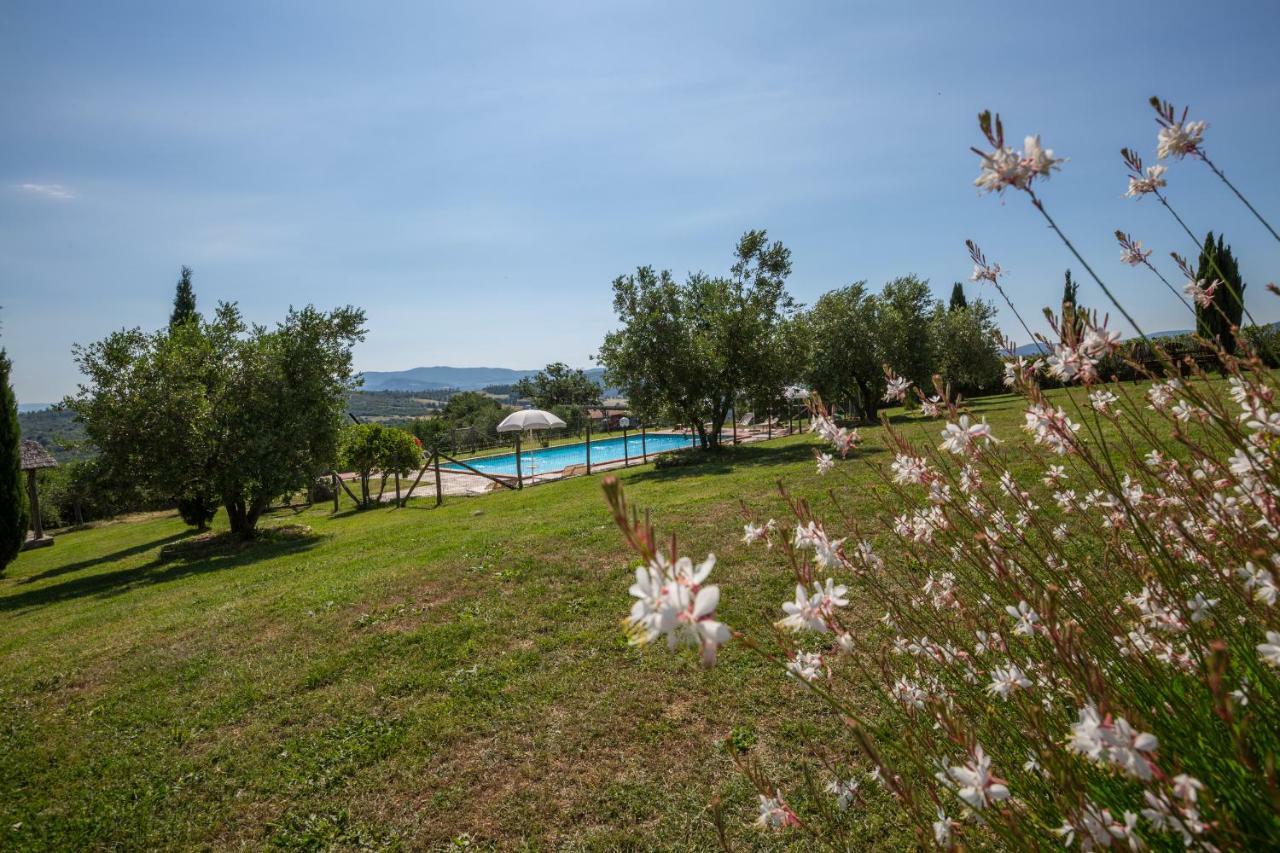 Agriturismo San Nicolo Montecastelli Pisano Экстерьер фото